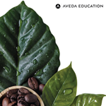 Charlottetown, PEI - Experience Aveda - November 16th, 2026